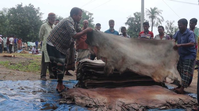 নওগাঁয় চামড়া কিনে লোকসানে মৌসুমী ব্যবসায়ীরা