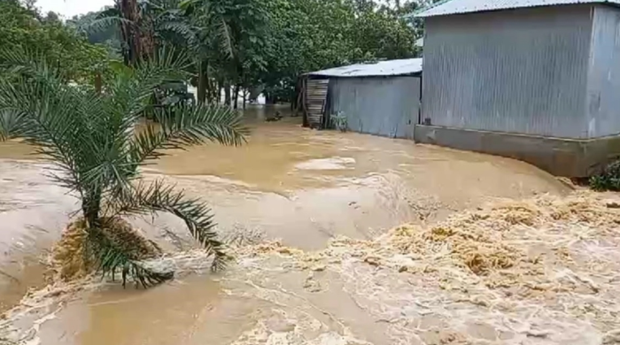 শেরপুরে পাহাড়ি ঢলে প্লাবিত শতাধিক গ্রাম